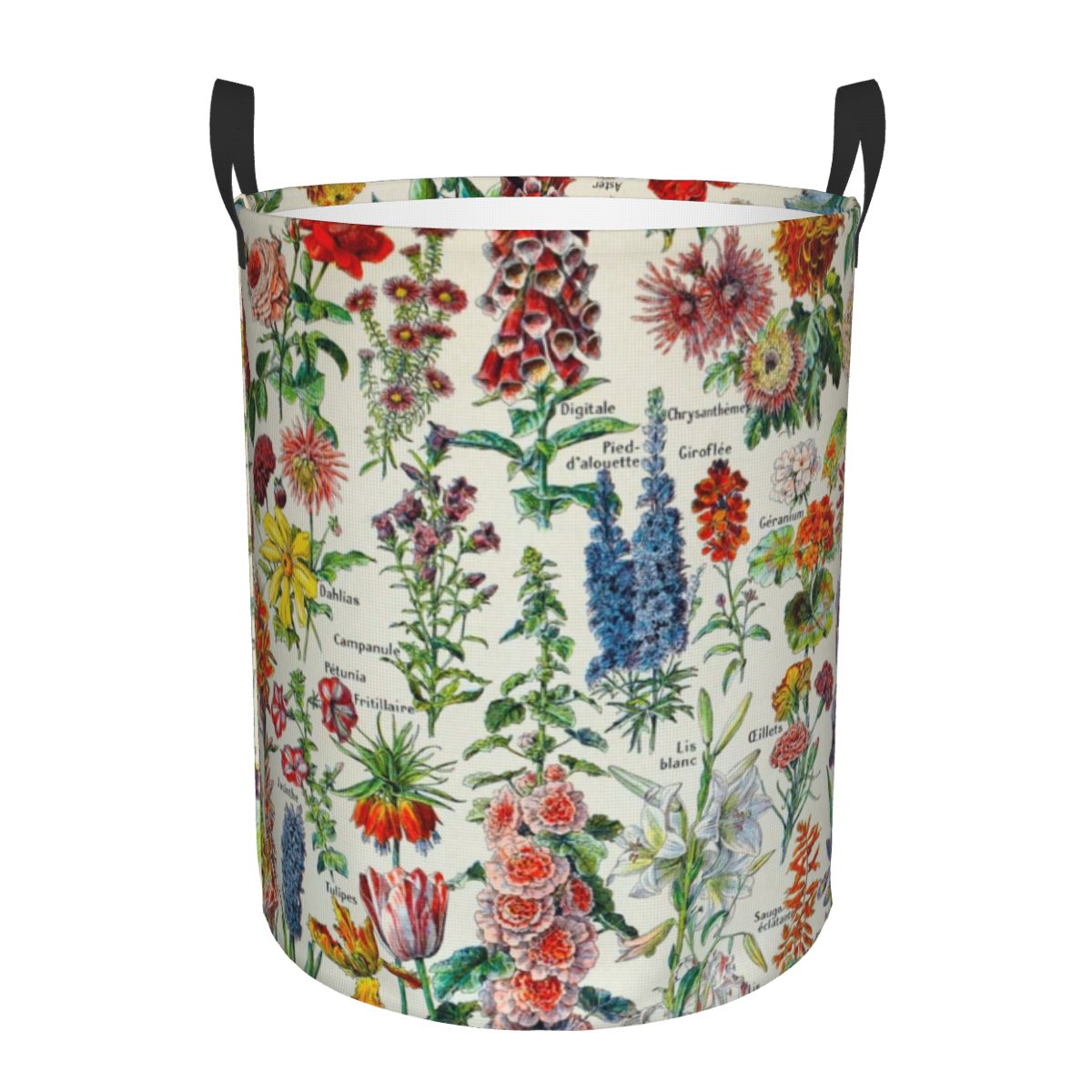 Baby Clothing Storage - Custom Adolphe Millot HD Fleurs Laundry