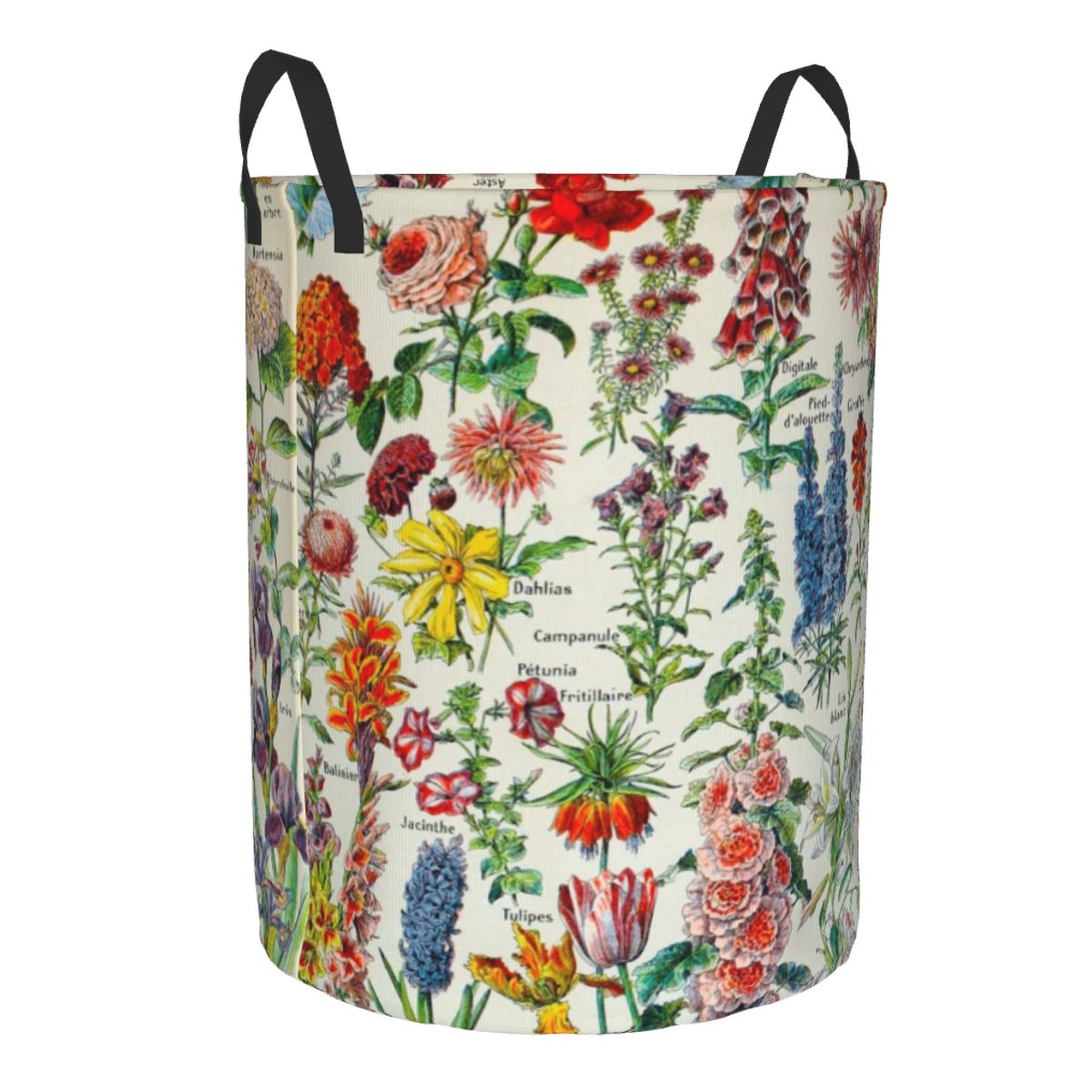 Custom Adolphe Millot HD Fleur - Baby Clothing Storage reseña y precio