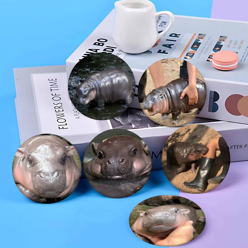 Baby Hippo Moo Deng Badge Tinp - Baby Clothing In Japan reseña y precio