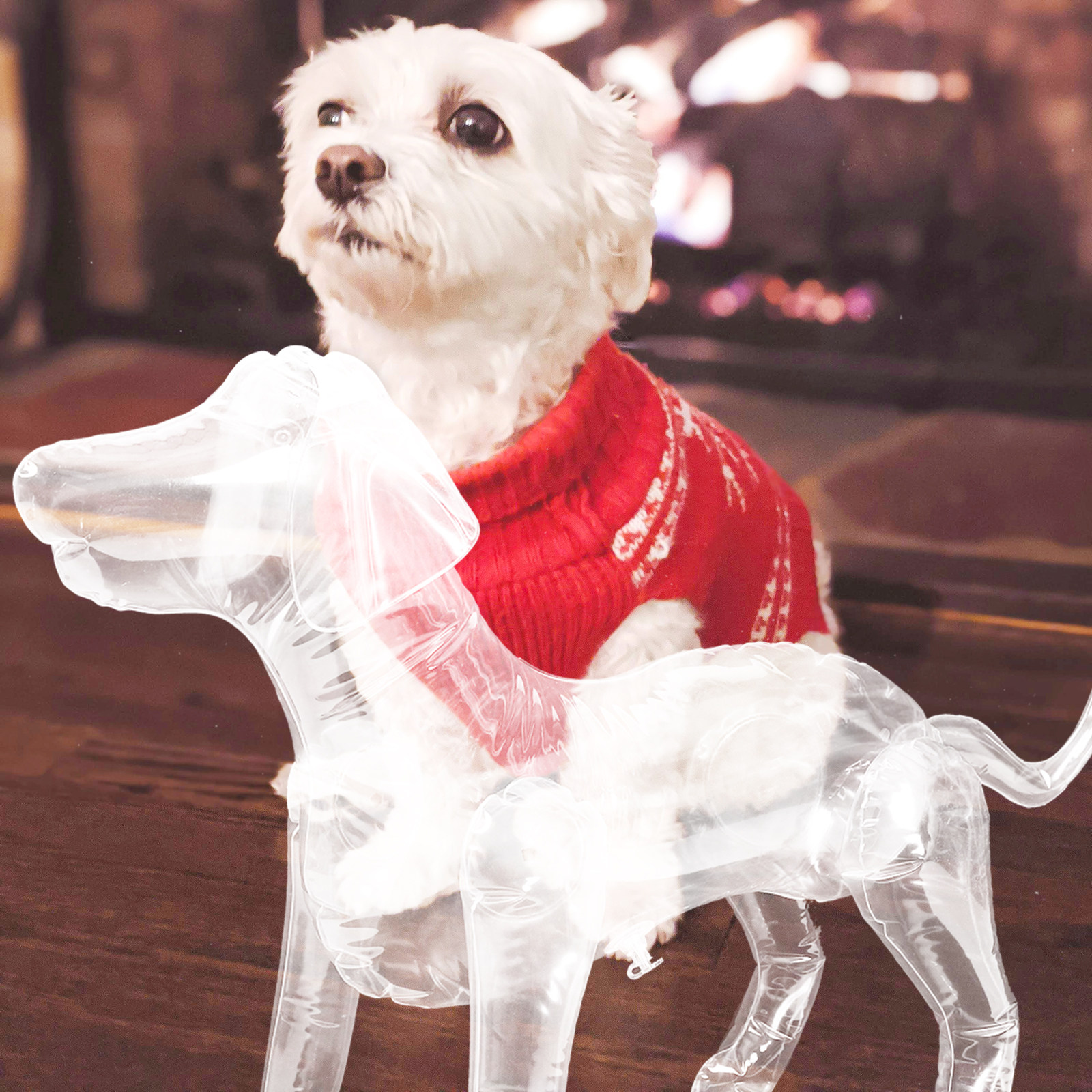 Inflatable Dog Clothes Mannequ - Baby Shop Clothing reseña y precio