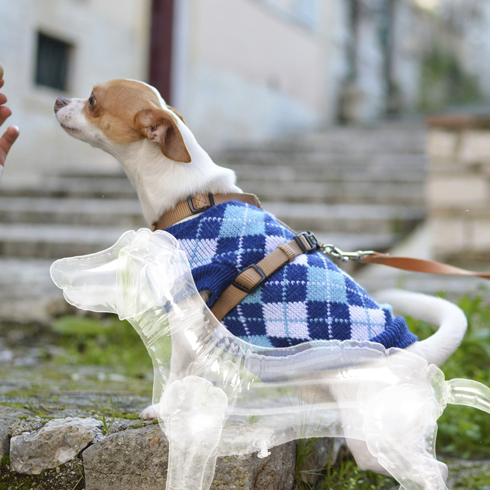 Inflatable Dog Mannequin Displ - Baby Shop Clothing reseña y precio