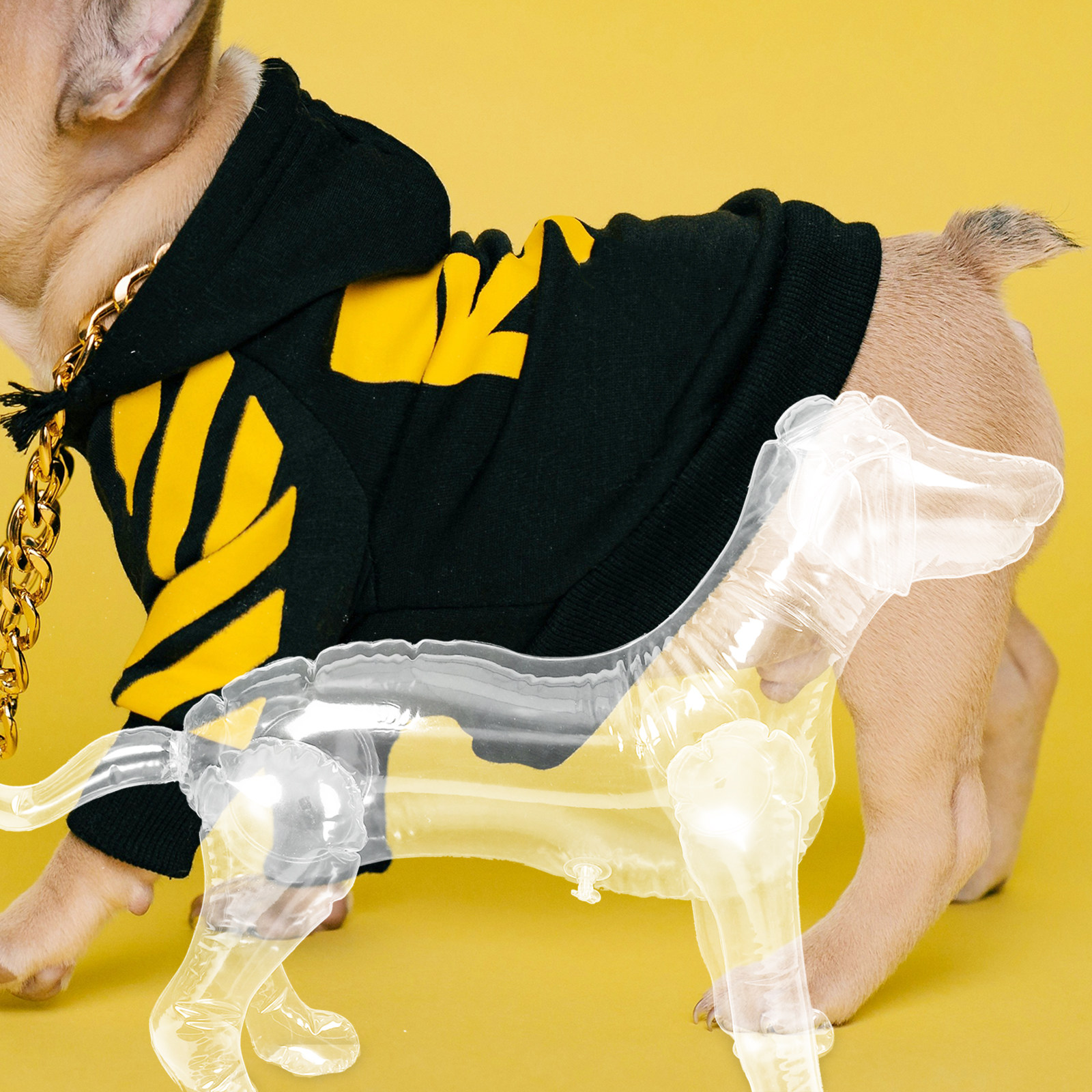 Inflatable Dog Mannequin Displ - Baby Shop Clothing reseña y precio