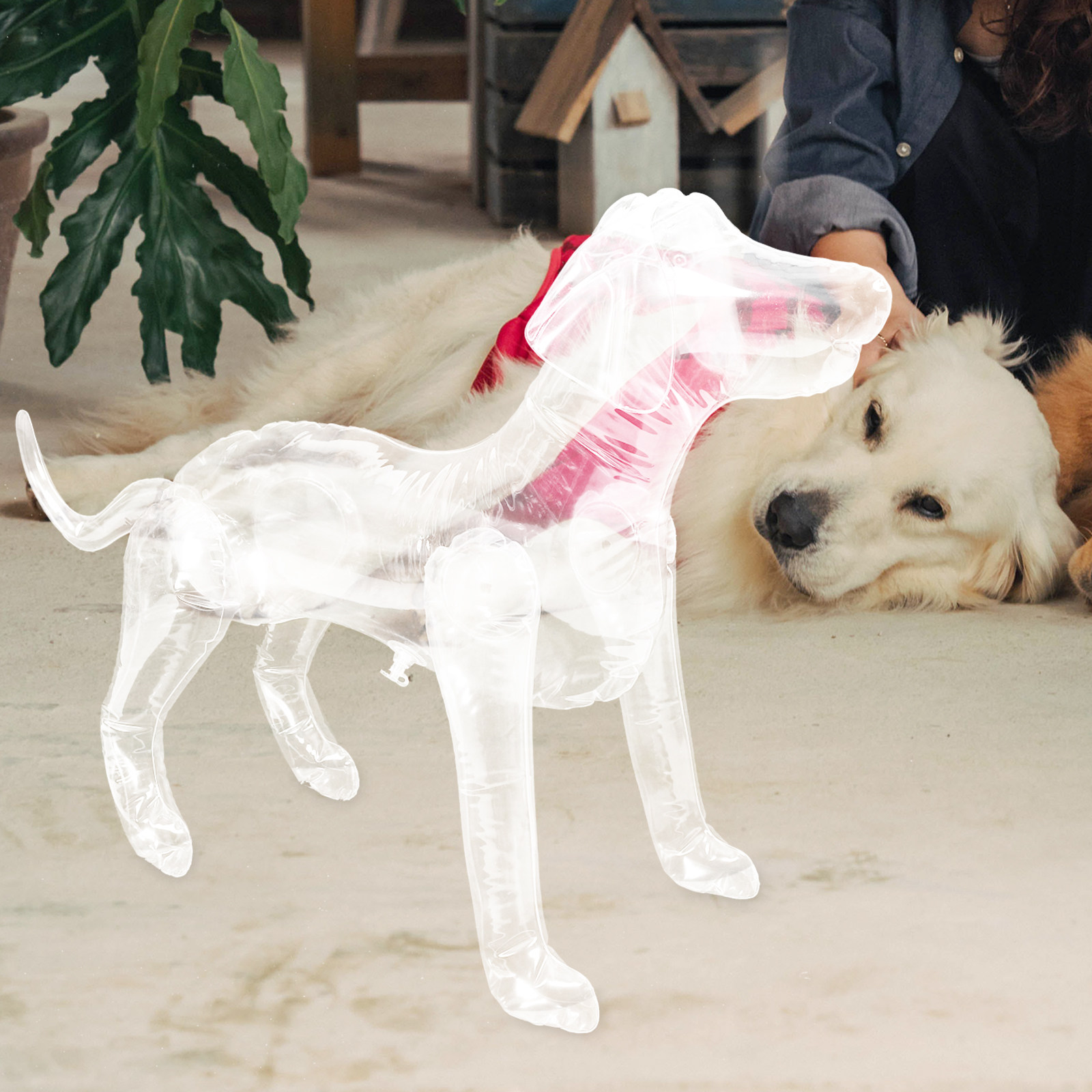 Inflatable Dog Mannequin Displ - Baby Shop Clothing reseña y precio
